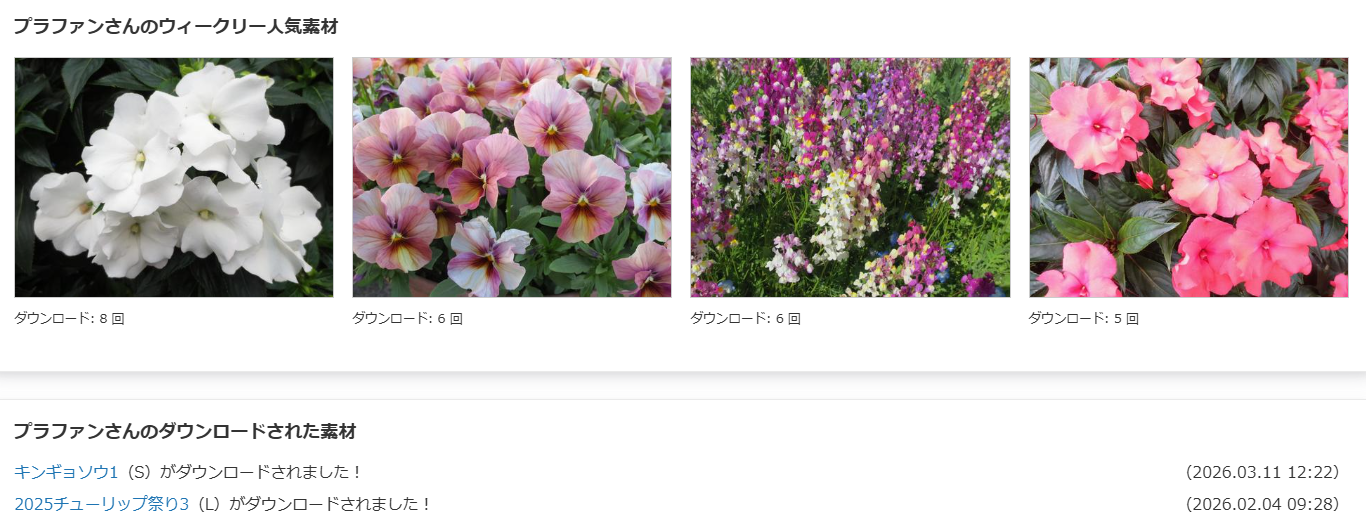 写真販売プラファン